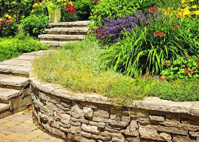 Our Company